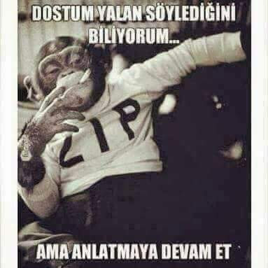 FB IMG 1503169690687