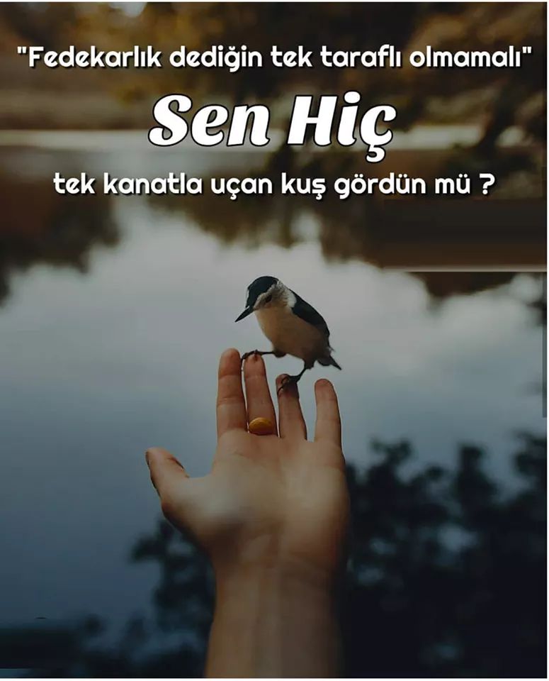 FB IMG 1524651513913