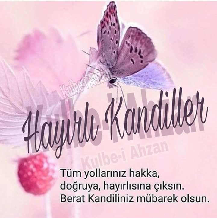 FB IMG 1525066363112