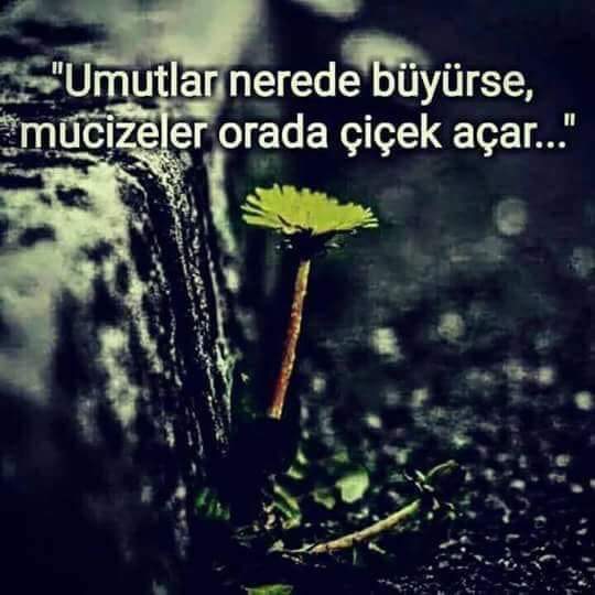 FB IMG 1526363406282
