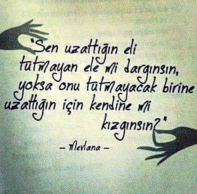 FB IMG 1534056752548