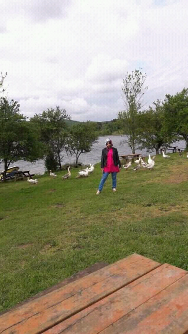 FB IMG 15349614112230017