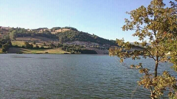 FB IMG 15349614471290737