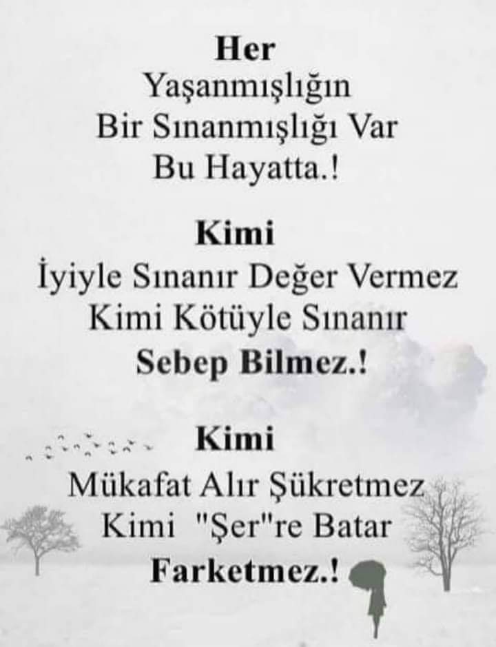 FB IMG 1561539038461