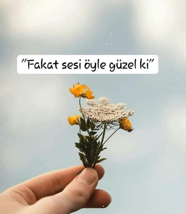 FB IMG 1561539269243