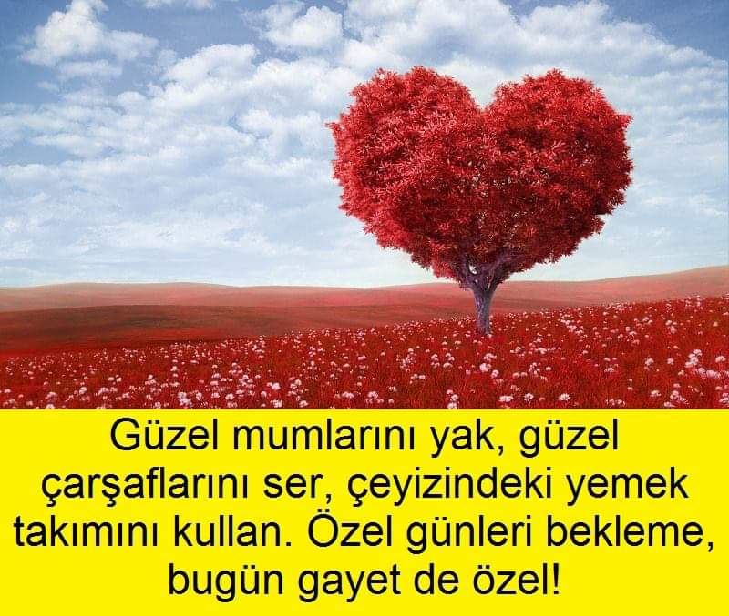 FB IMG 1562307440166