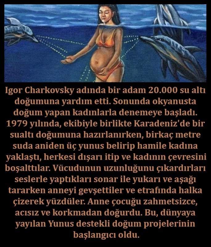 FB IMG 1579157019807