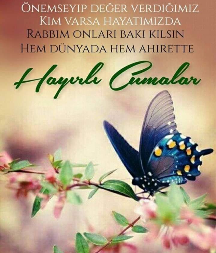 FB IMG 1580451698444