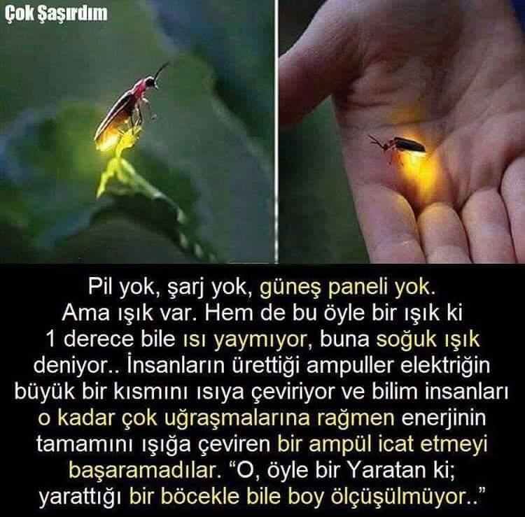 FB IMG 1580624340137