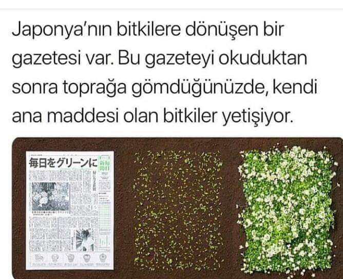 FB IMG 1580624470879