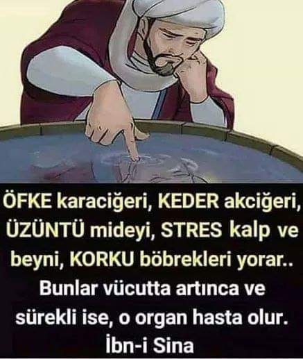 FB IMG 1580624563974