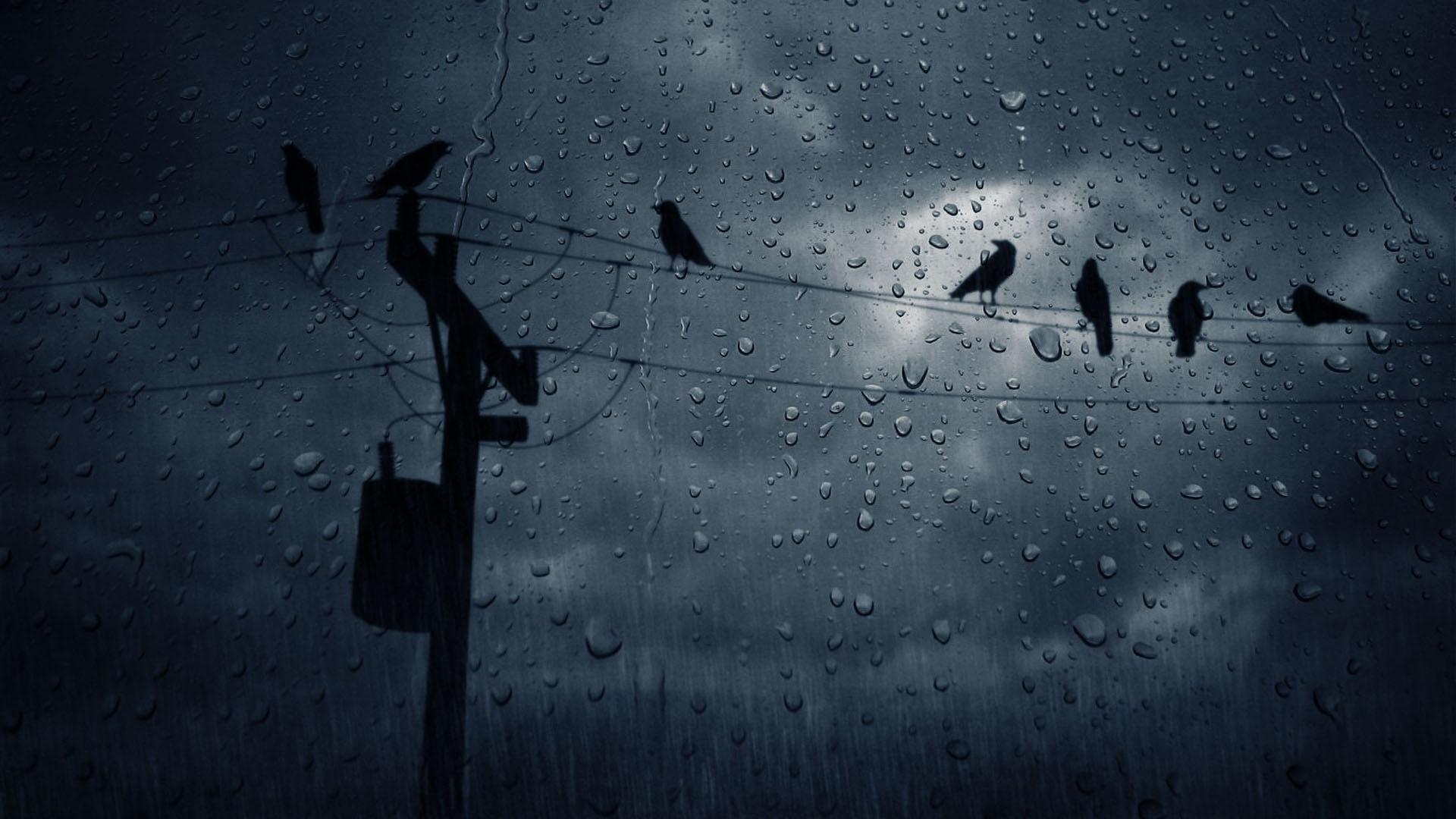 Gece