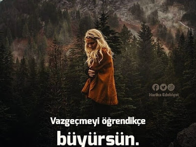 Gemiszleri 2