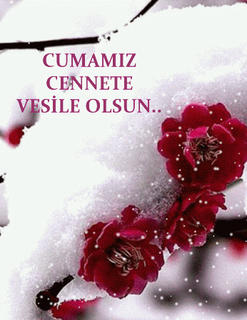 Hareketli cuma mesajlar25C425B1