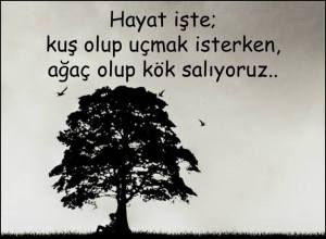 Hayat ite