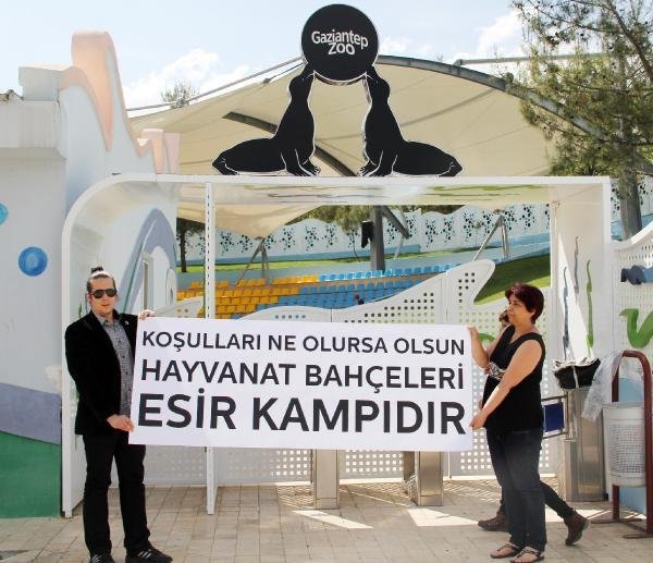 Hayvanat bahceleri kapatilsin DHA 8d37b63e0ded0cbde4fffc0e04dedd33 4 t