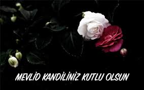 Images 10