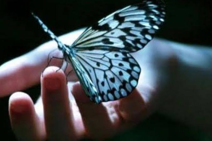 Images 10
