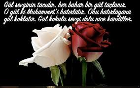 Images 11