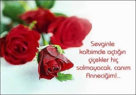Images 16