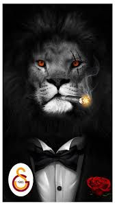Images 24