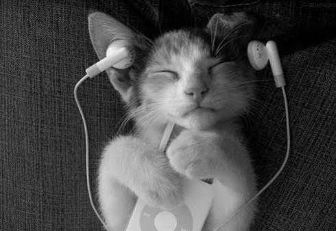 Images 33