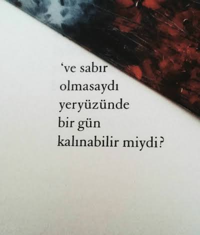Images 7