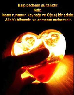 Images 8