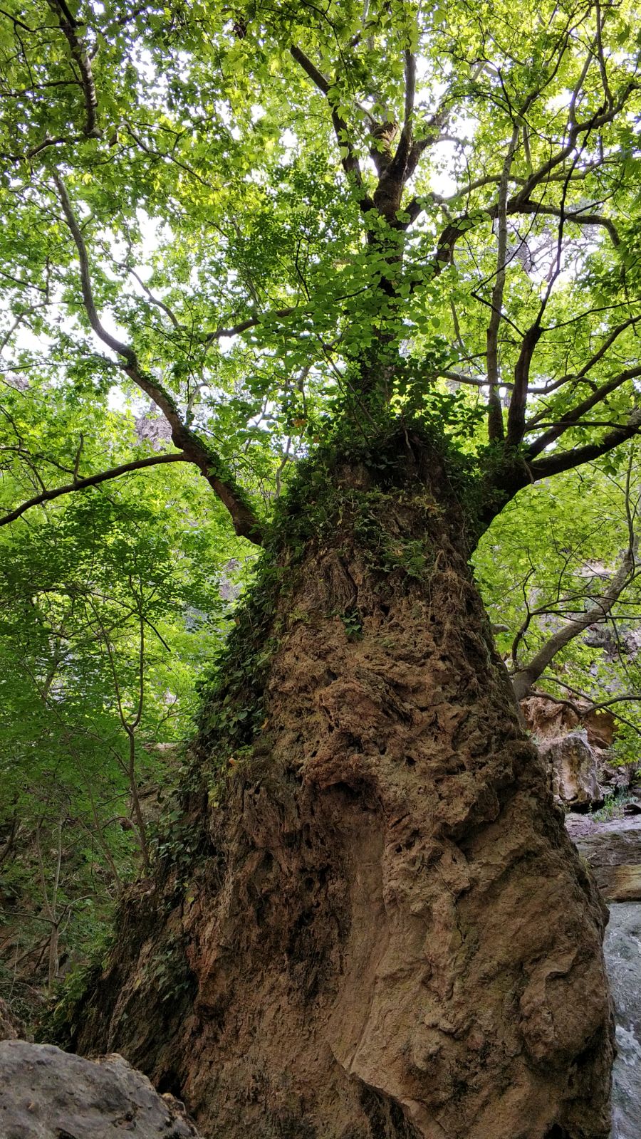 IMG 20180505 WA0006