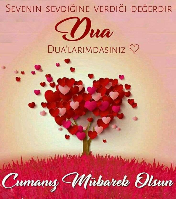 IMG 20180511 WA0000