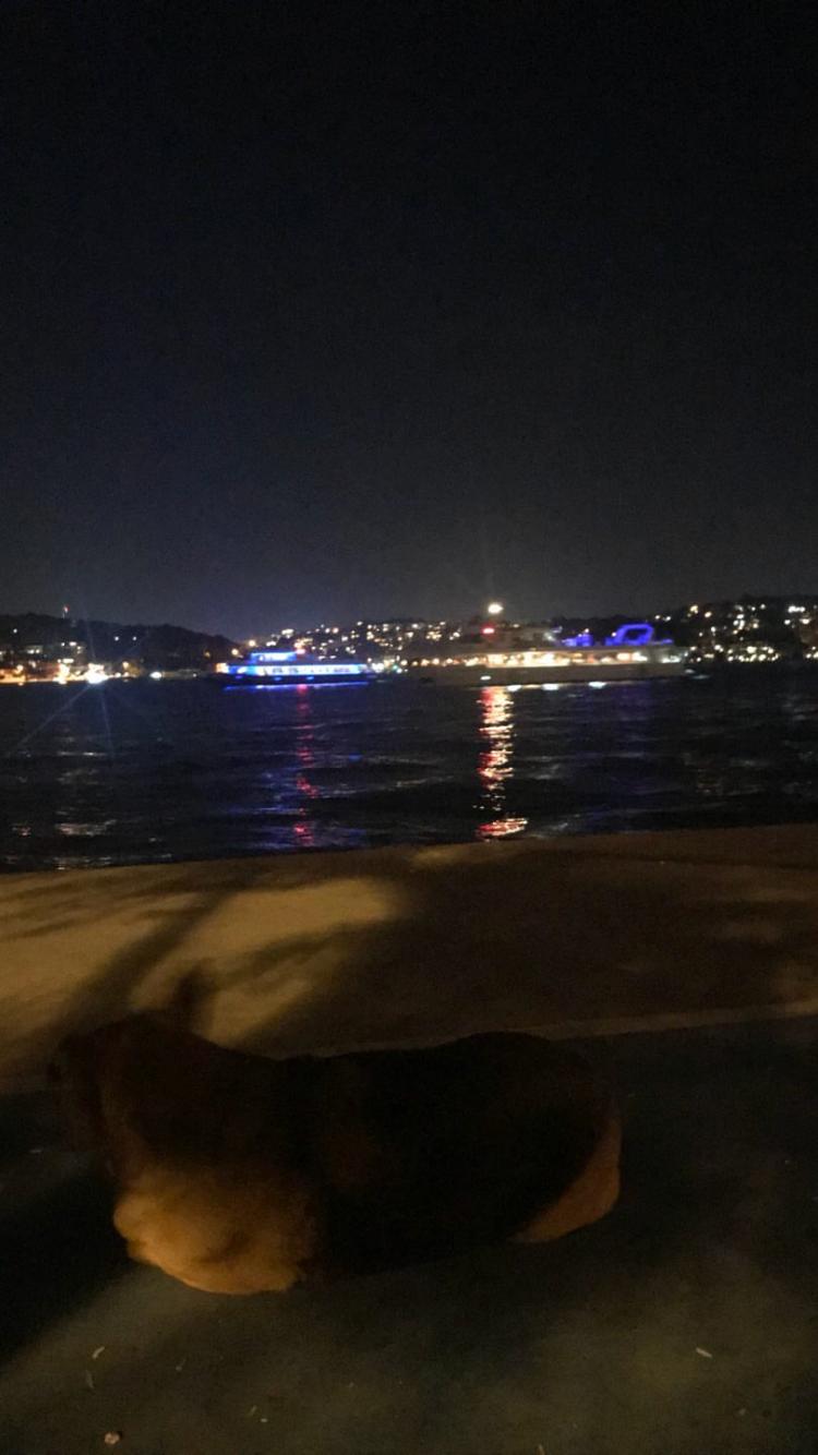 IMG 20180922 WA0040