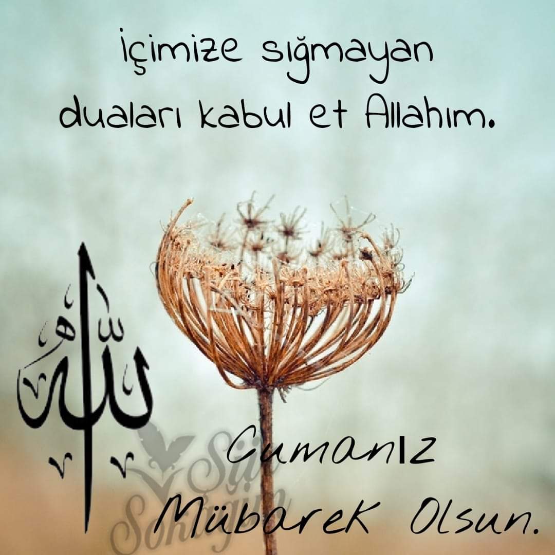 IMG 20181130 WA0010