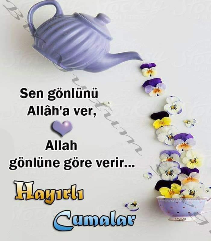 IMG 20190111 WA0007