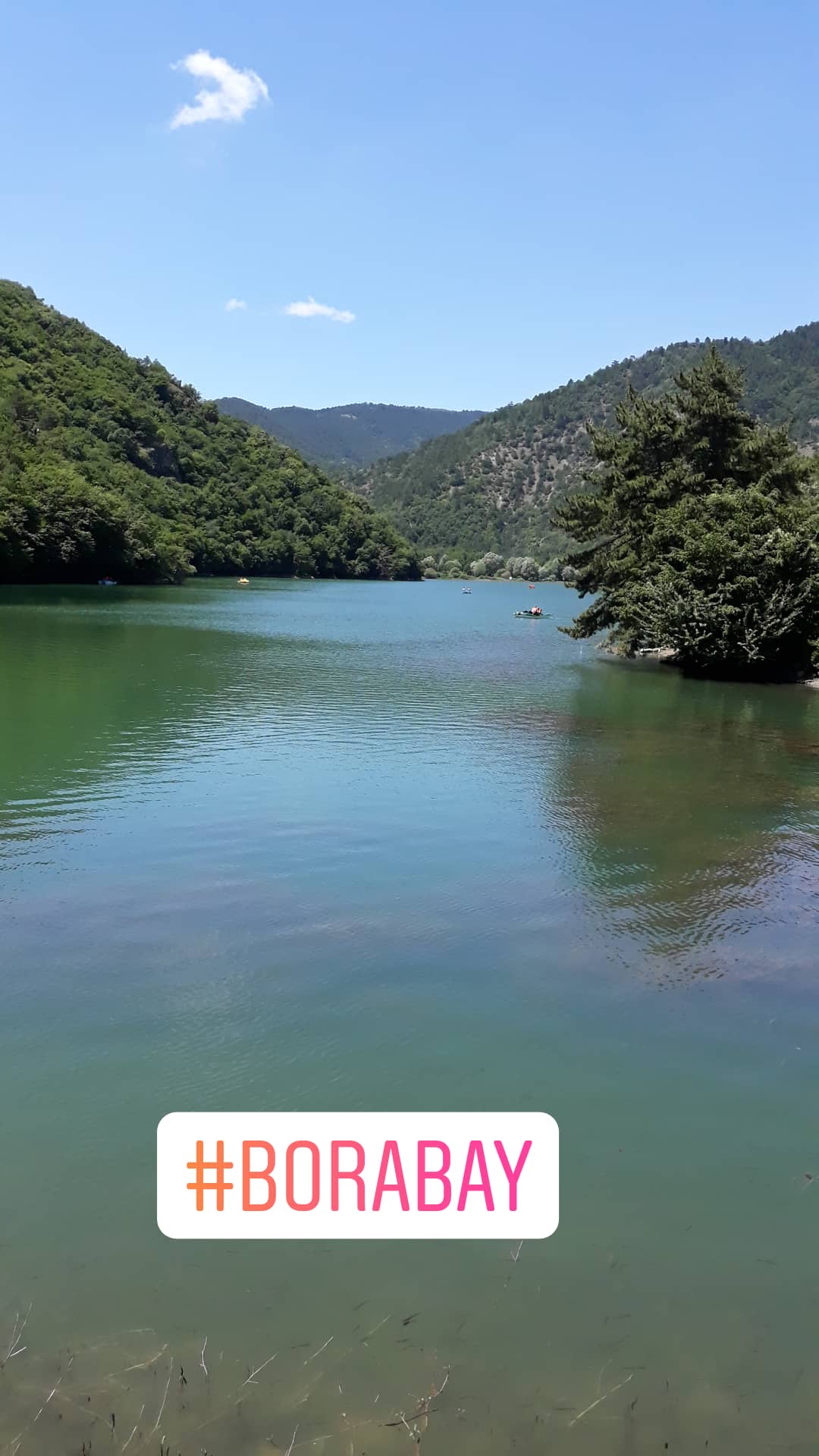IMG 20190716 122630 890