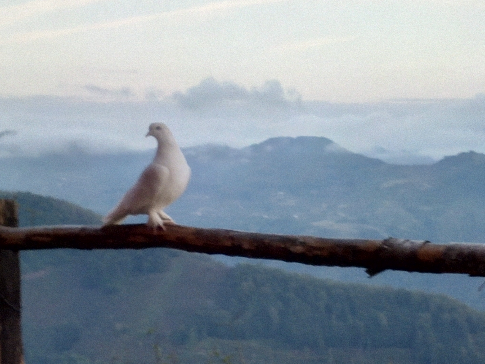 IMG 20191007 175524
