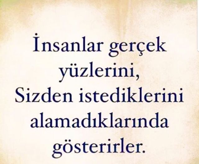Insan