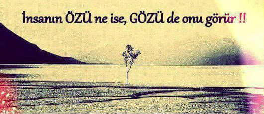 Insan