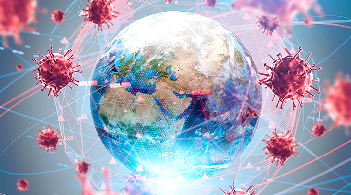 Koronavirus covid 19 rehberi
