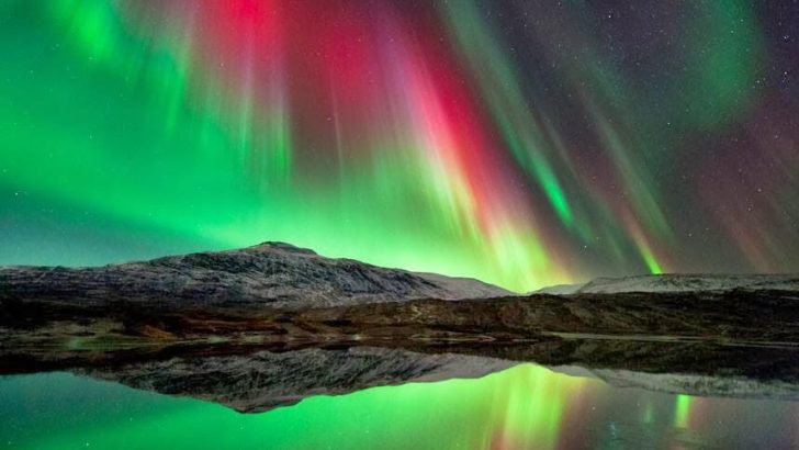 Kutup aurorasi veya kutup isiklari 728x410