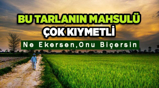 Ne eker isen onu bicersin