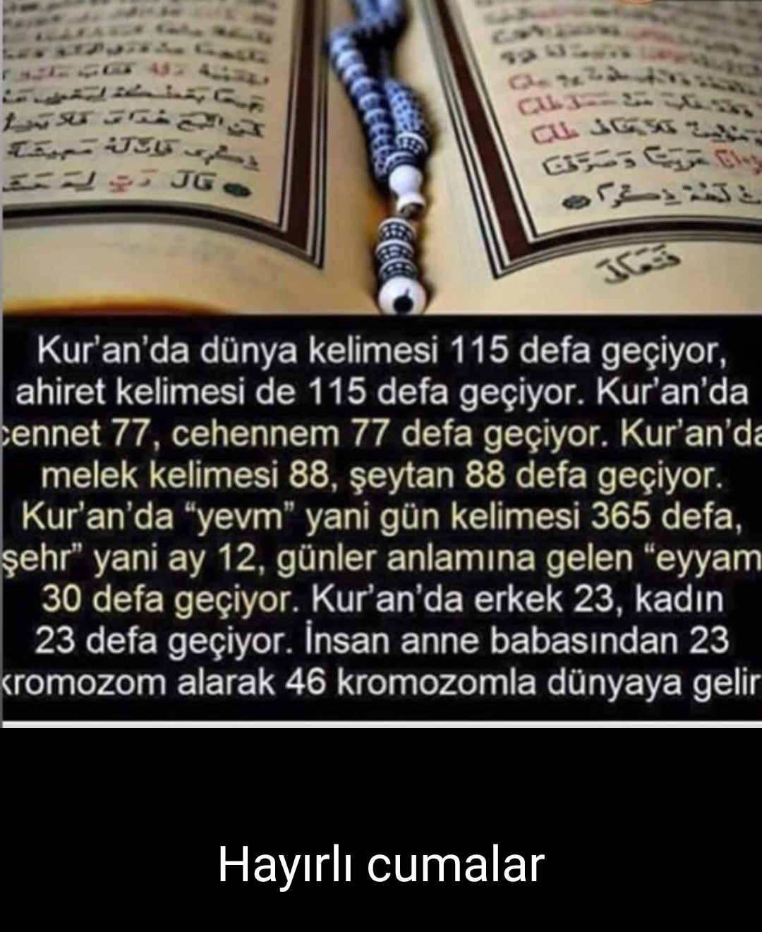 Screenshot 20191018 131451 comwhatsapp