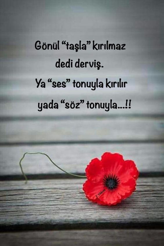 Sz