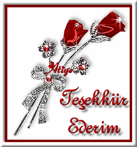 Tesekkur mesajlari
