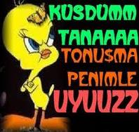 Tivitti